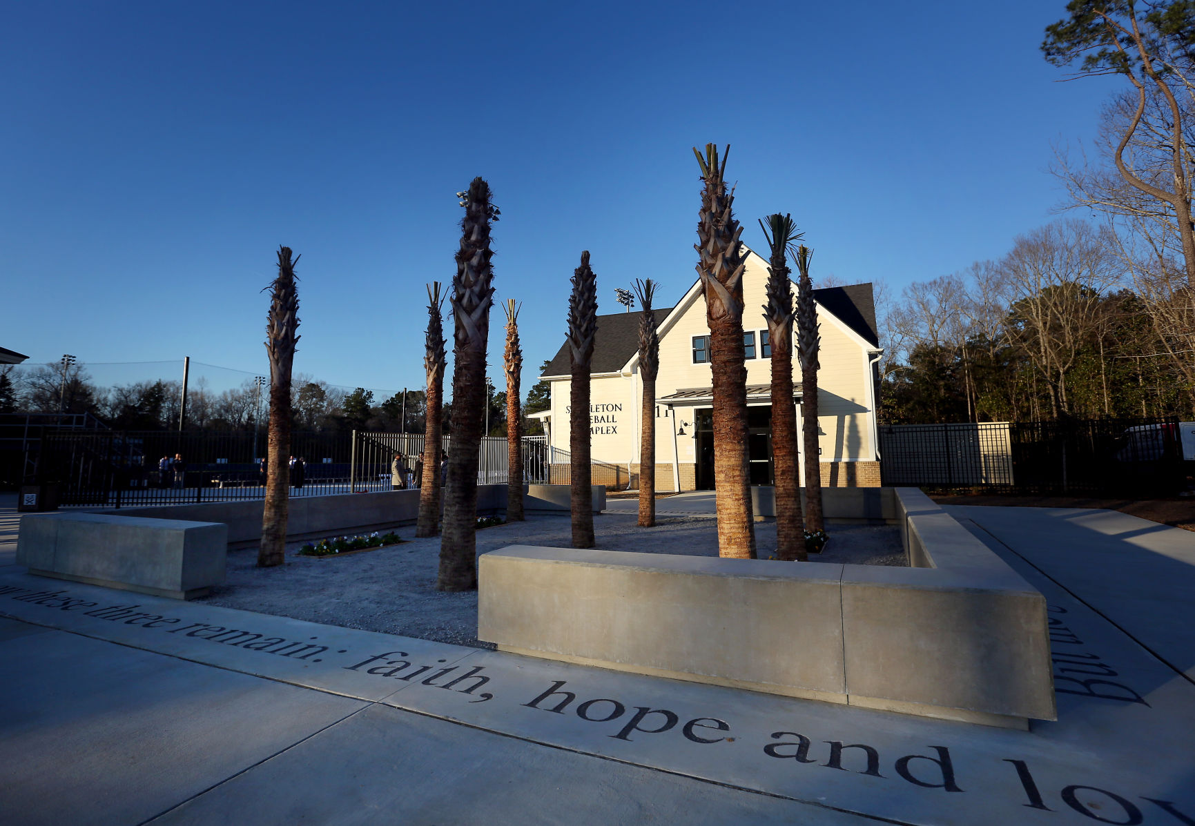 nine palmetto trees.jpg (copy)